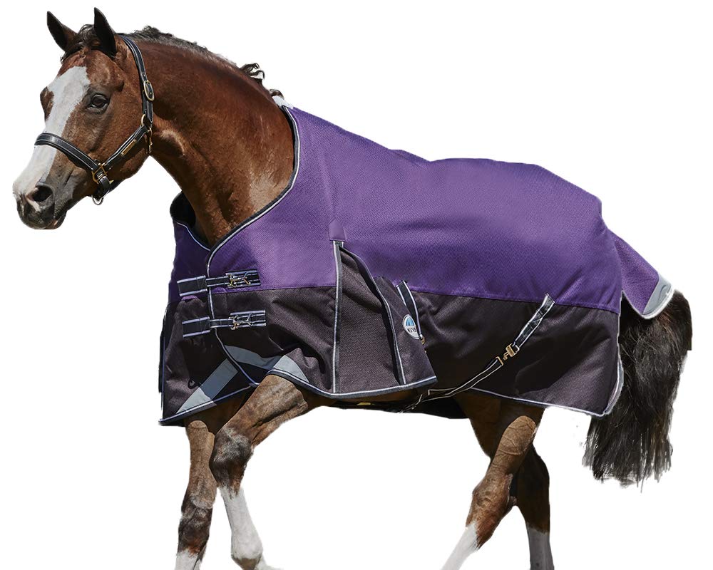 WeatherBeeta ComFiTec Plus Dynamic II Standard Neck Medium/Lite Horse Blanket - Waterproof, Breathable Turnout Rug for All Seasons Riding & Stable Use