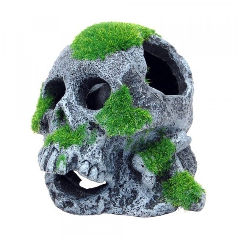 Bioscape Moss Covered Skull Decor - 12 x 13cm Realistic Planted Skull Sculpture for Gothic Home Decor, Halloween Party, Terrarium & Fairy Garden Display