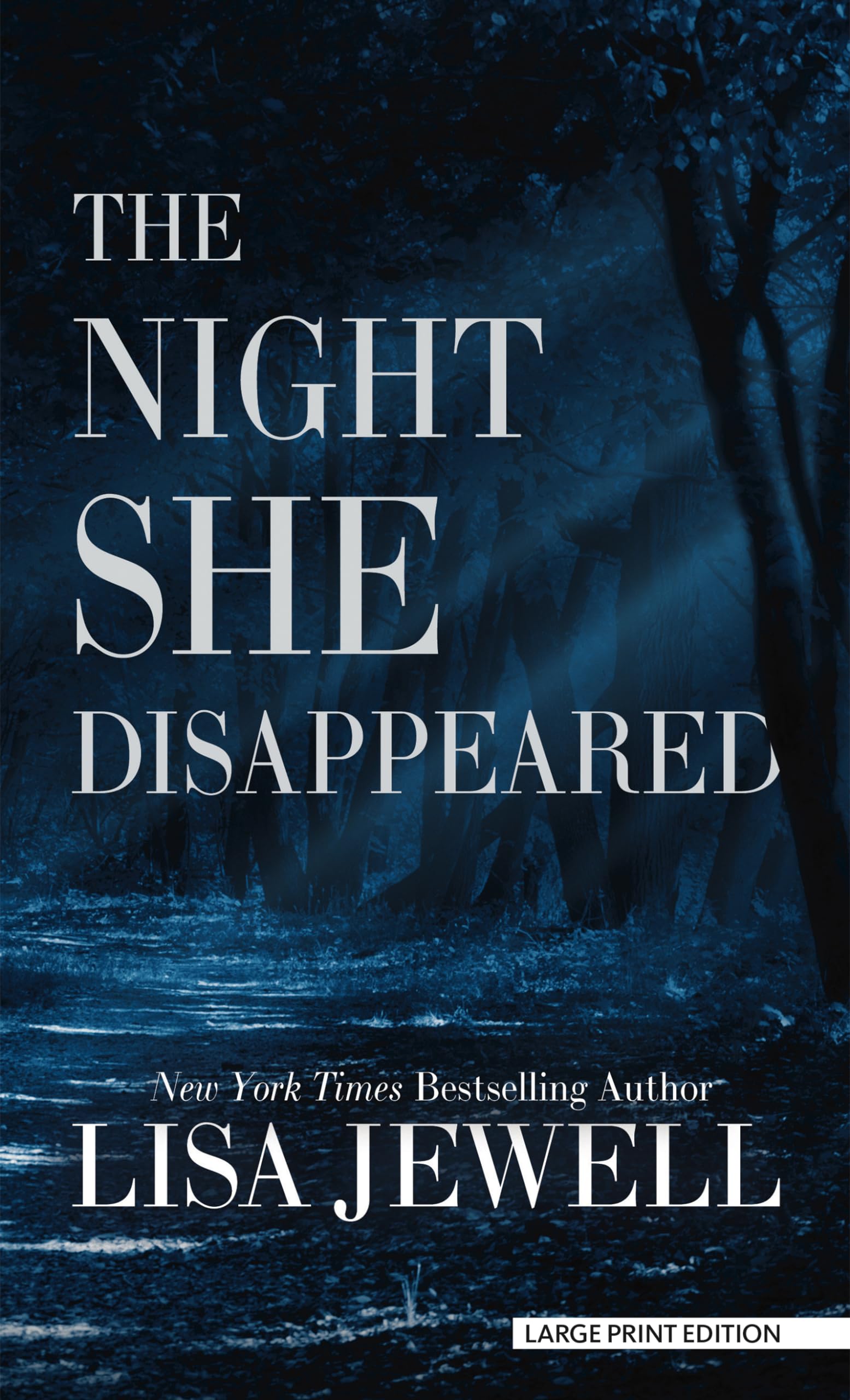 The Night She Disappeared - Large Print Edition by Thorndike Press | Mystery Thriller Novel for Book Clubs & Nighttime Reading