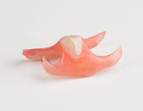 Nesbit Flexible Partial Denture - Dark Upper Arch, 1 Tooth Replacement for Comfortable & Natural-Looking Smile | Perfect for Daily Wear, Eating & Speaking