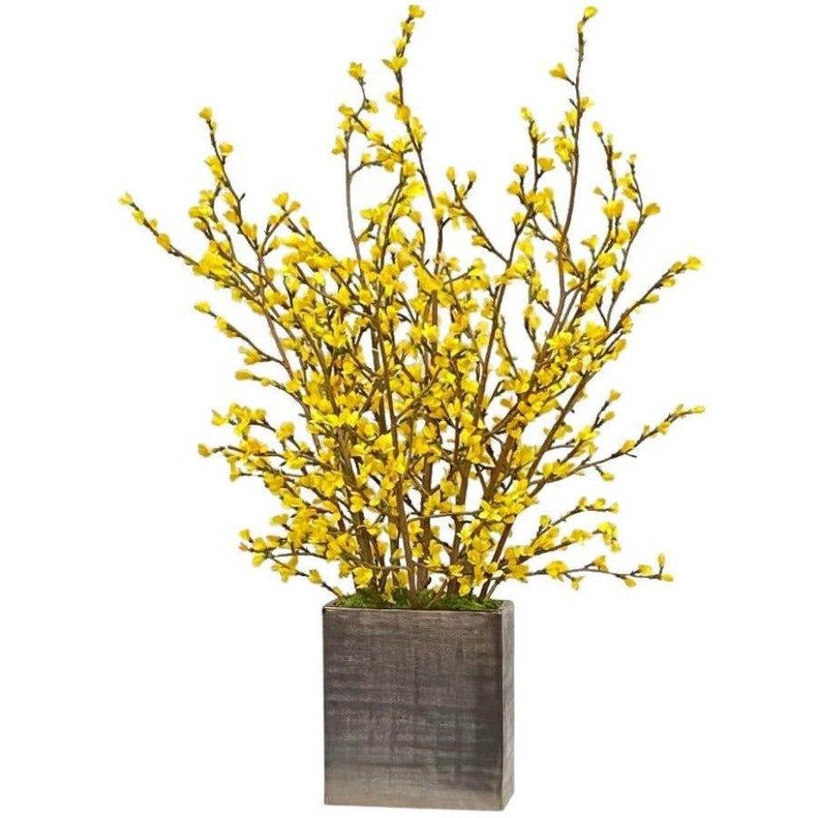 Forsythia Flowers in Glass Vase - Spring Home Decor for Living Room, Wedding Centerpiece, Office Desk Decor