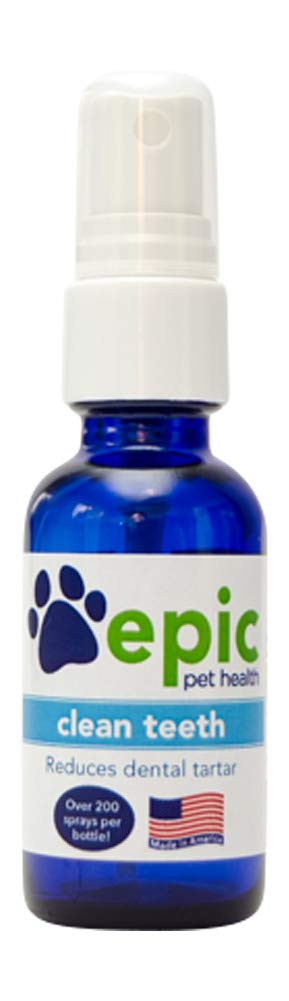 Natural Electrolyte Teeth Spray for Tartar Control & Fresh Breath | USA-Made Oral Care Supplement (1oz) | Perfect for Travel, Work & Daily Dental Hygiene