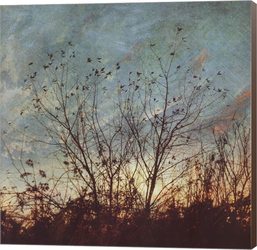 Wild Grass II by Amy Melious - 20x20 Inch Stretched Canvas Wall Art with Brown Sides, Handmade Painting for Living Room, Bedroom & Office Decor