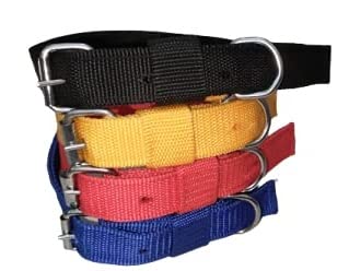 RvPaws Heavy Duty 1-Inch Nylon Dog Collar - Durable & Adjustable Pet Collar for Daily Walks, Training & Outdoor Adventures (Colors May Vary)