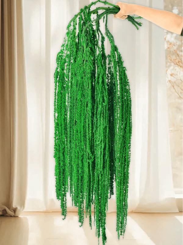 5Pcs Real Dried Amaranthus Hanging Flowers - 23