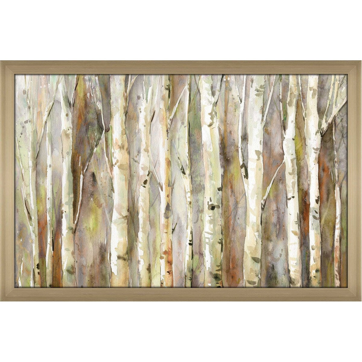 Birch Path by Carol Robinson - Premium Acrylic Wall Art Print - Nature Landscape Decor for Living Room, Bedroom & Office