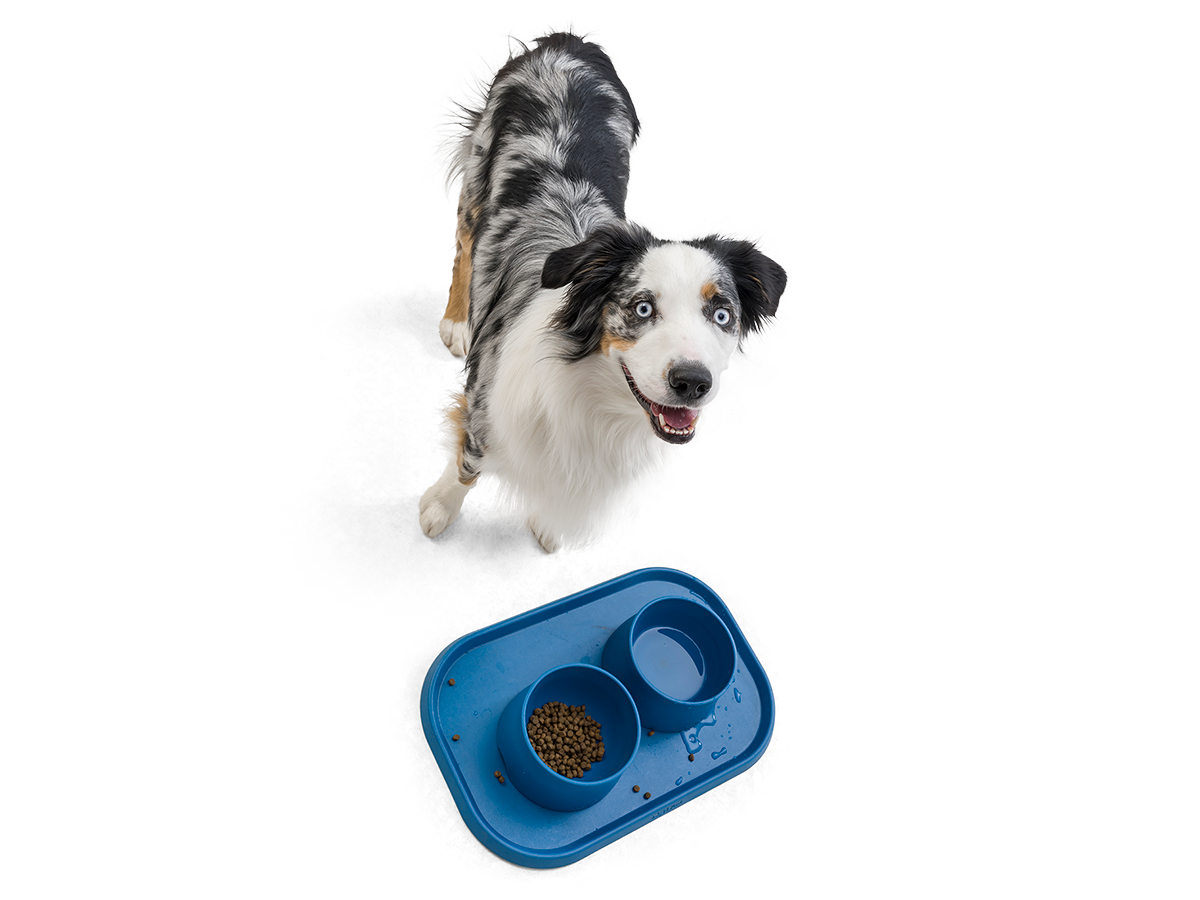 West Paw Design® Seaflex® Quiet Dog Toy - Durable & Non-Toxic Chew Toy for Aggressive Chewers, Perfect for Indoor Play & Anxiety Relief (Green)