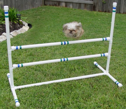 Premium Dog Agility Training Equipment - Adjustable Single & Double Bar Jump for Professional Canine Obstacle Courses | Perfect for Backyard Training, Competition Practice & Dog Sports Enthusiasts