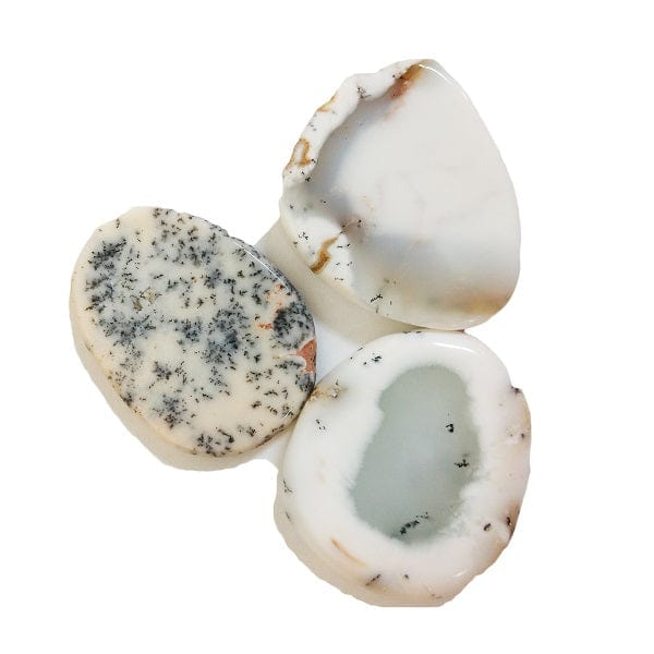 Natural Agate Dendritic Slices - Healing Crystal for Abundance & Prosperity | Perfect for Meditation, Home Decor & Spiritual Gifts