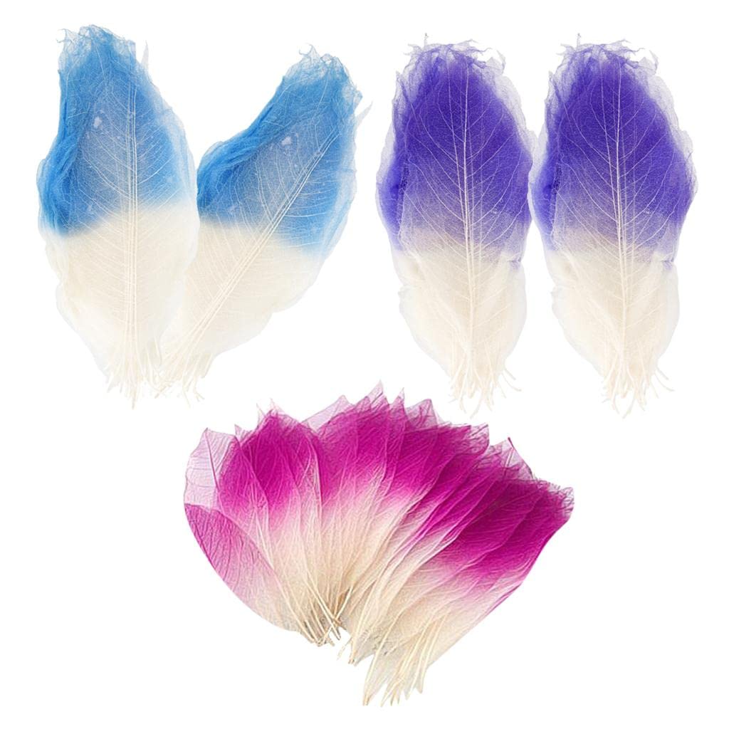 Colcolo 150 PCS Natural Skeleton Leaves for Scrapbooking, Card Making, DIY Bookmark & Label - Dried Botanical Decor for Wedding, Fall Crafts & Home Decor