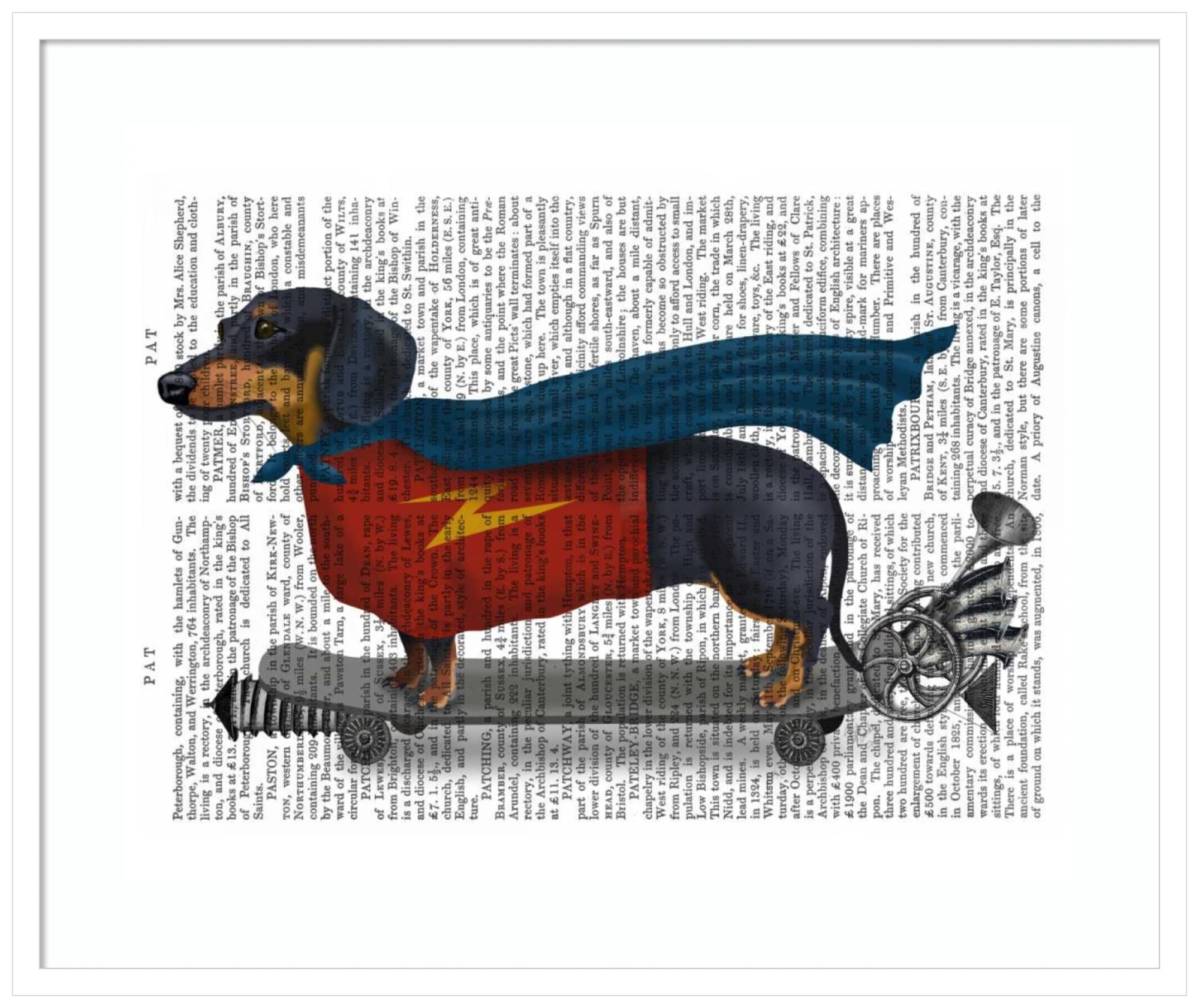 Amanti Art Framed Wall Art Print 28x33 - Dachshund on Skateboard by Fab Funky, Whimsical Animal Wall Decor, Large Canvas Painting for Living Room, Bedroom, Office | Perfect for Pet Lovers & Modern Home Decor