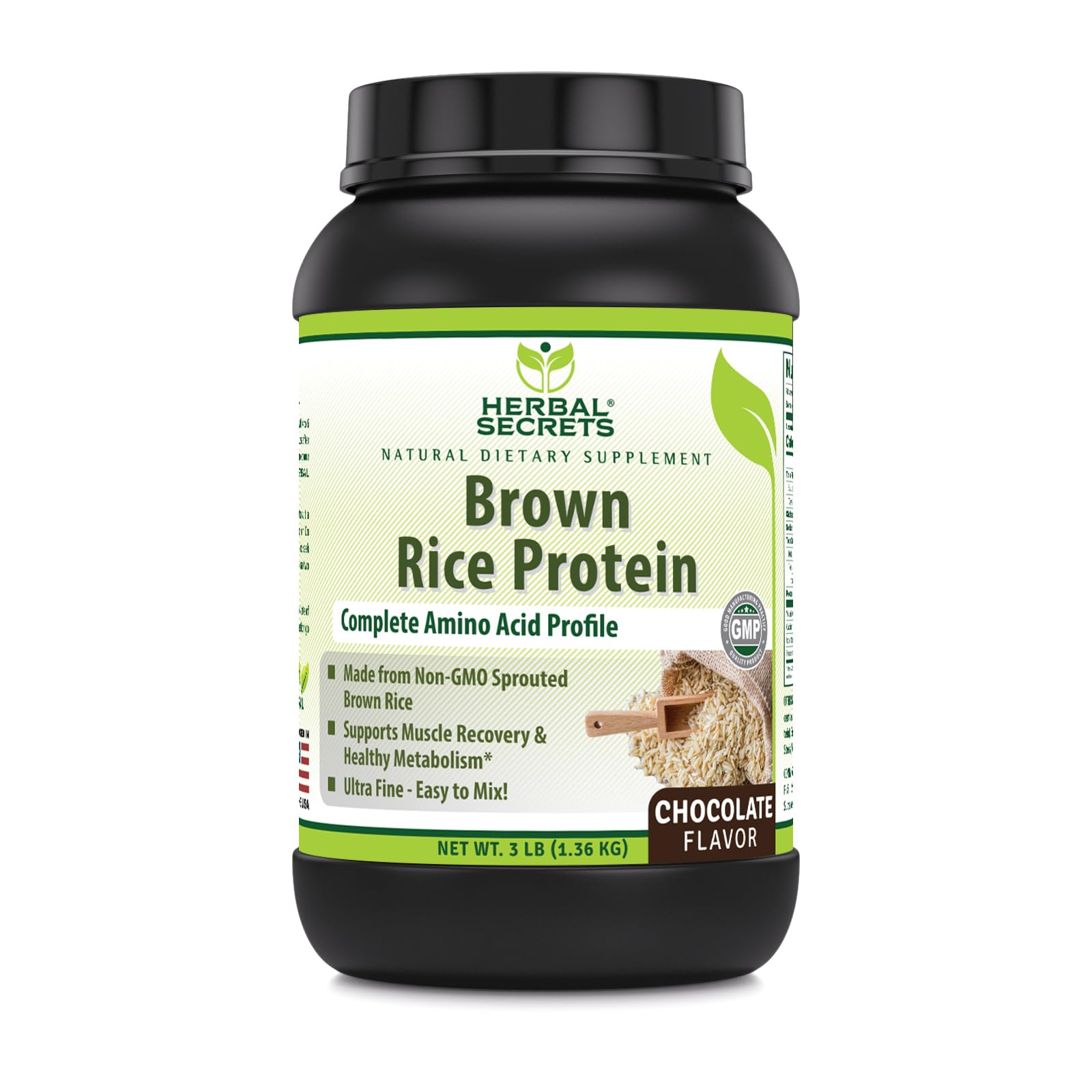 Organic Brown Rice Protein Powder - 3 Lb Vegan Plant-Based Supplement | 12g Protein per Serving | Gluten-Free & Non-GMO | Made in USA (Chocolate Flavor) for Smoothies, Baking & Post-Workout Recovery