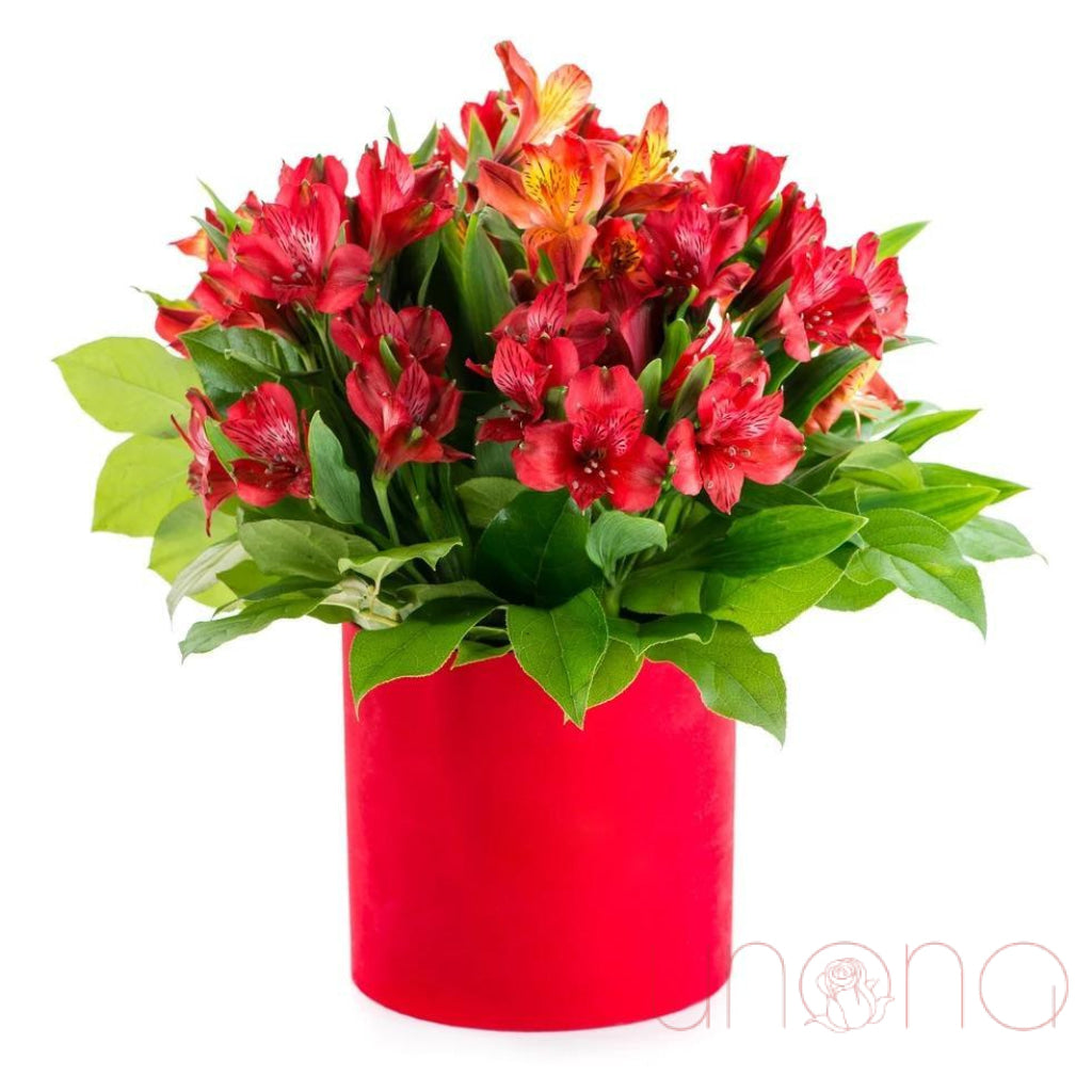 Premium Alstroemeria Flower Bouquet Gift Box - Fresh Cut Peruvian Lilies for Birthdays, Anniversaries, and Home Decor