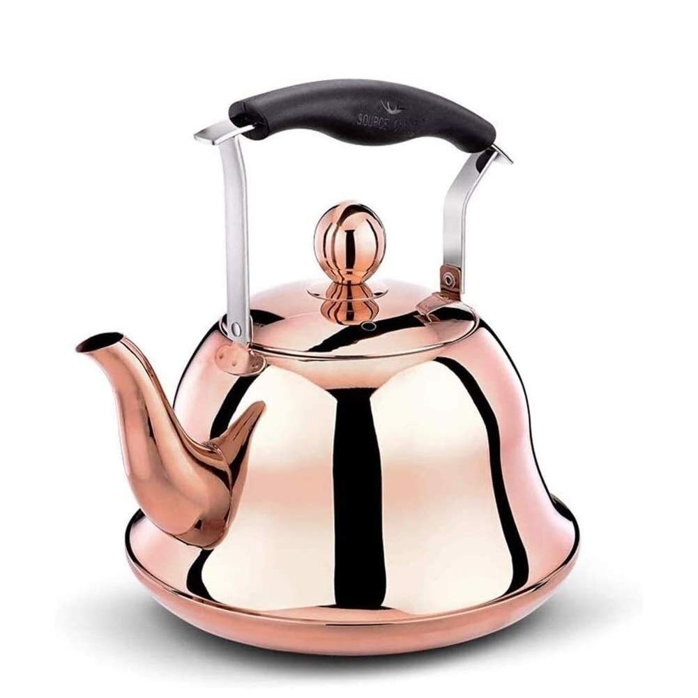 **Stainless Steel Whistling Tea Kettle - 6L Induction & Gas Stovetop Compatible - Modern Cookware for Tea Lovers (Blue) - Perfect for Home, Office & Camping Use**