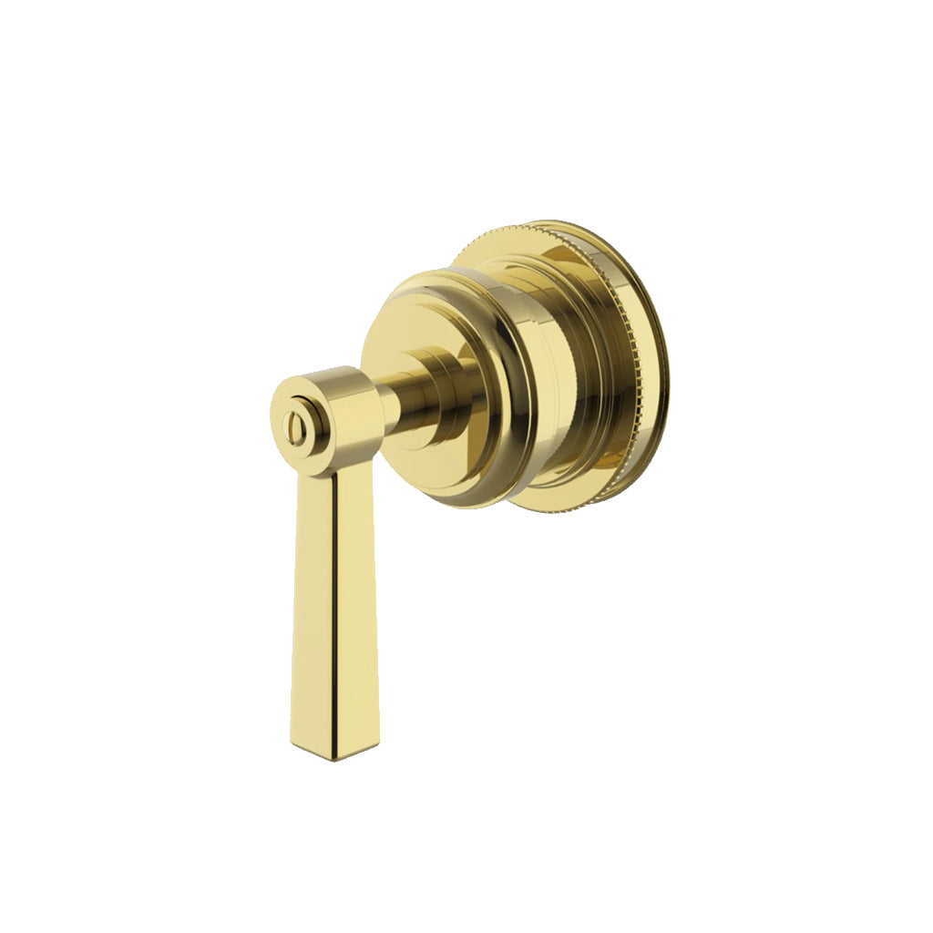 Waterworks Aero Volume Control Valve Trim with Metal Lever Handle in Brass - Premium Bathroom & Kitchen Faucet Accessory for Modern Home Decor