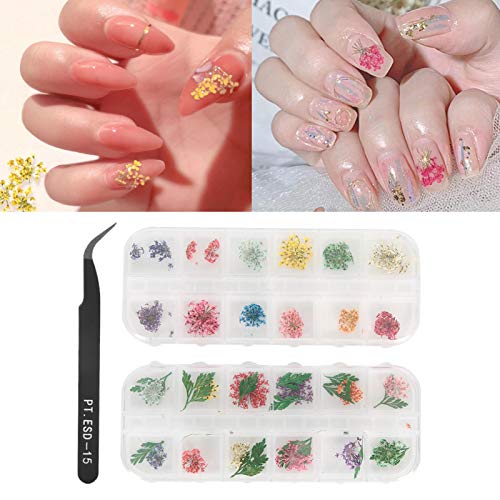 Premium Individually Packaged Dried Flowers for Nail Art - DIY Nail Decoration Kit for Home Manicure & Salon Use | Perfect for Wedding, Party, and Special Occasion Nail Designs