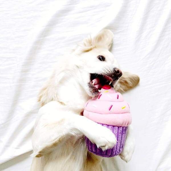 ZippyPaws Cupcake Plush Dog Toy - Blue & Pink Chew-Resistant Squeaky Toy for Small & Medium Dogs | Perfect for Playtime, Training Rewards & Birthday Gifts