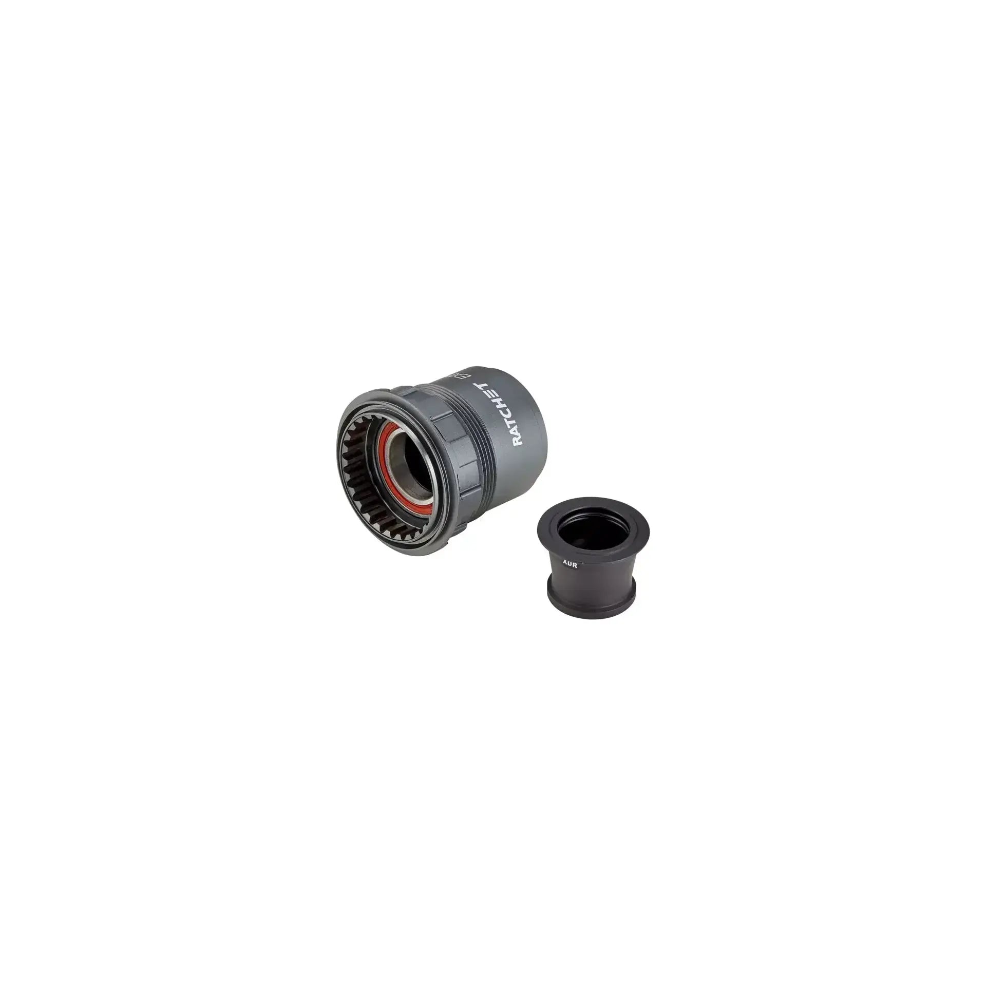 DT 240 EXP XDR Freehub - High-Performance Bicycle Hub for Road & Mountain Bikes - Compatible with SRAM XD Driver & Shimano 11/12 Speed - Ideal for Racing, Trail Riding & Commuting