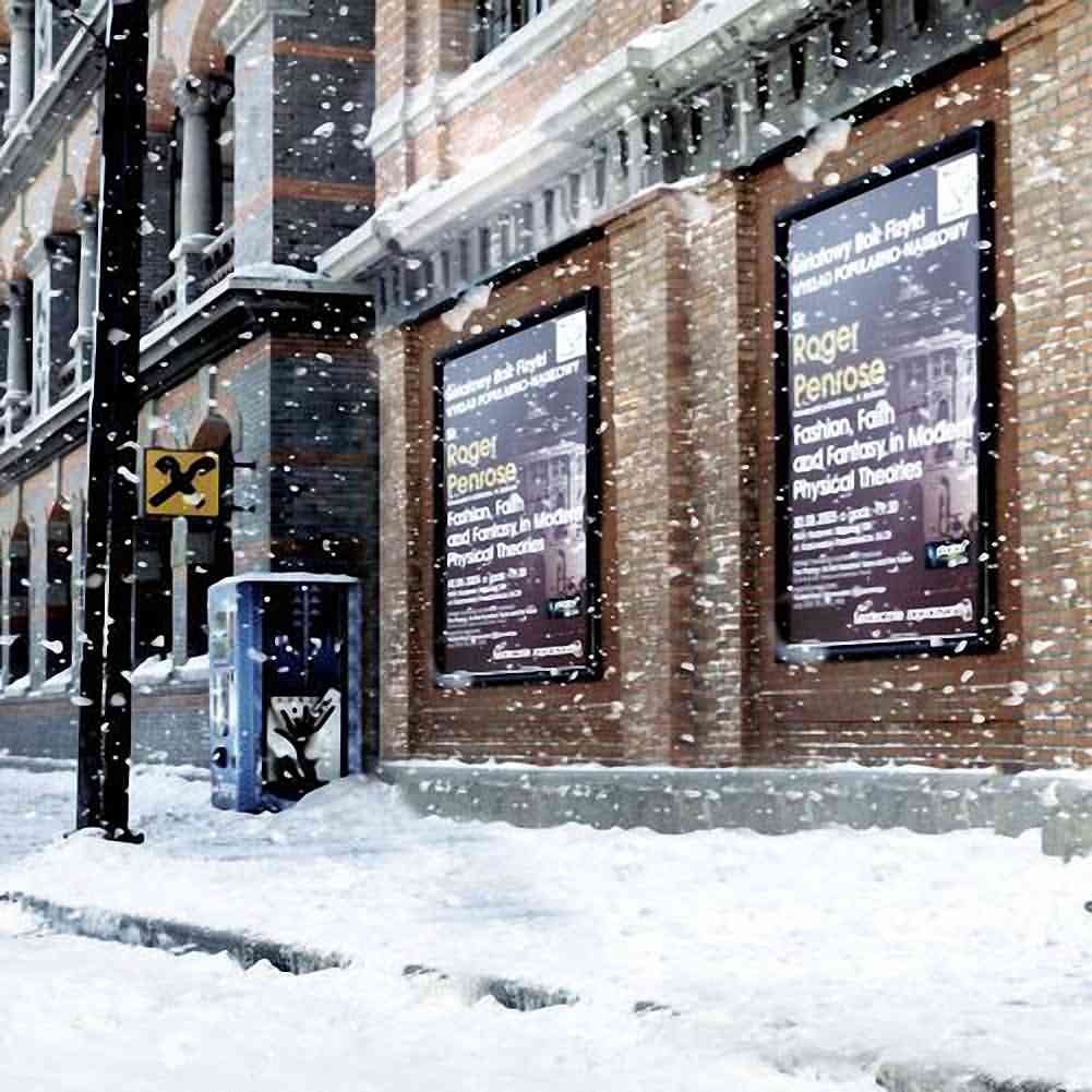 10'x10' Snowflakes Flying Photography Backdrop for Winter & Christmas Shoots