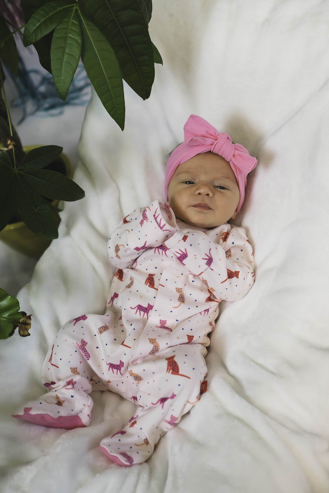 Cheetah Bonita Magnetic Footie for Baby Girls - Soft & Comfortable Infant Socks with Secure Magnetic Closure - Perfect for Playtime, Outings & Photo Shoots