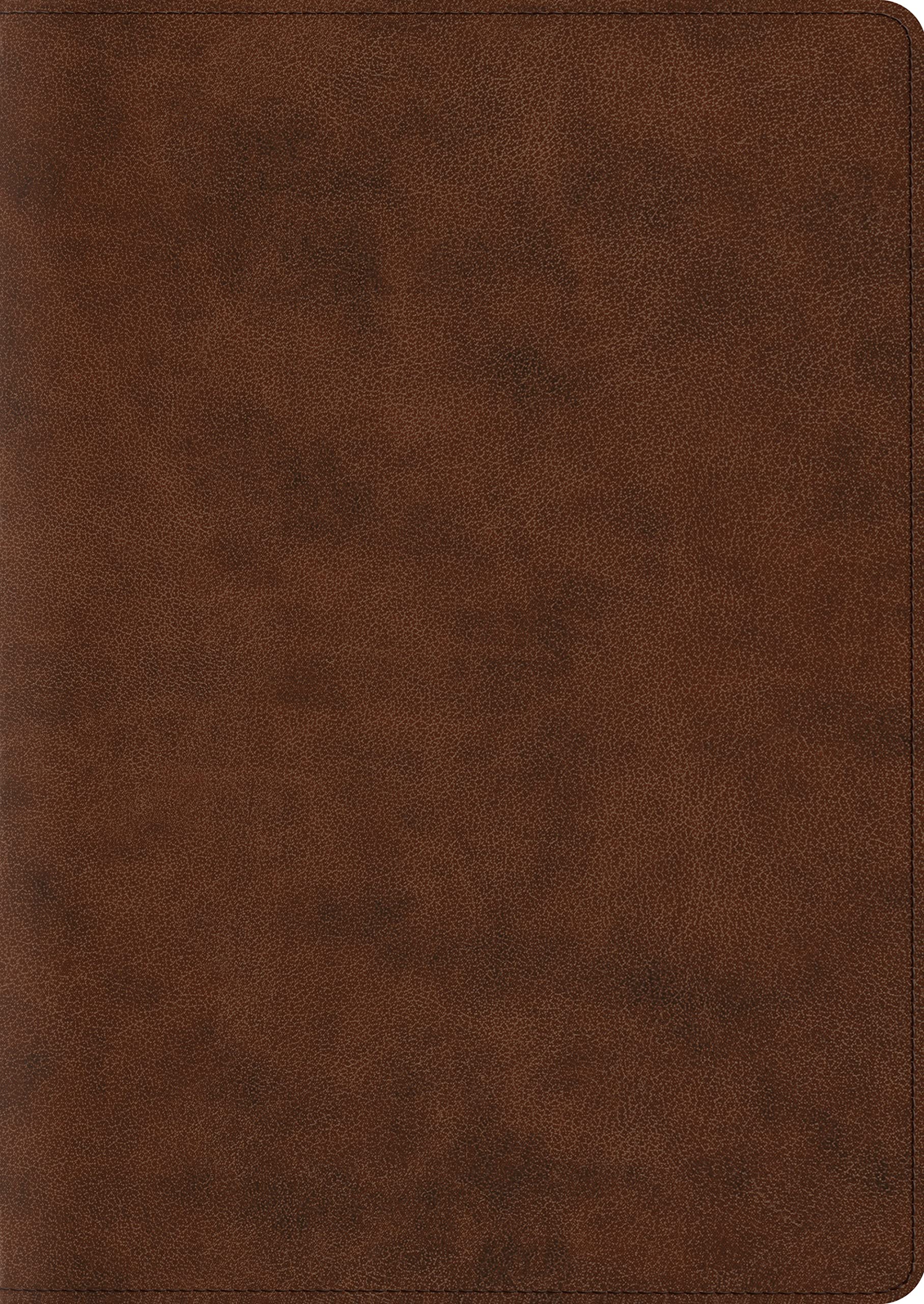 ESV Study Bible - Large Print Edition (TruTone Brown Leather) | Premium Bible for Easy Reading | Perfect for Church, Bible Study & Personal Devotion