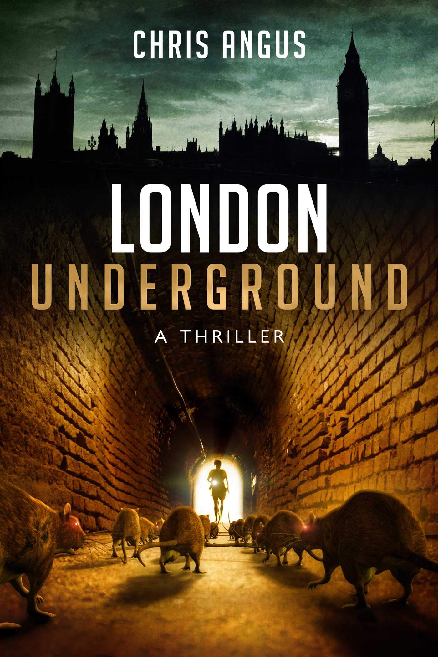London Underground Thriller - Suspenseful Mystery for Commuters
