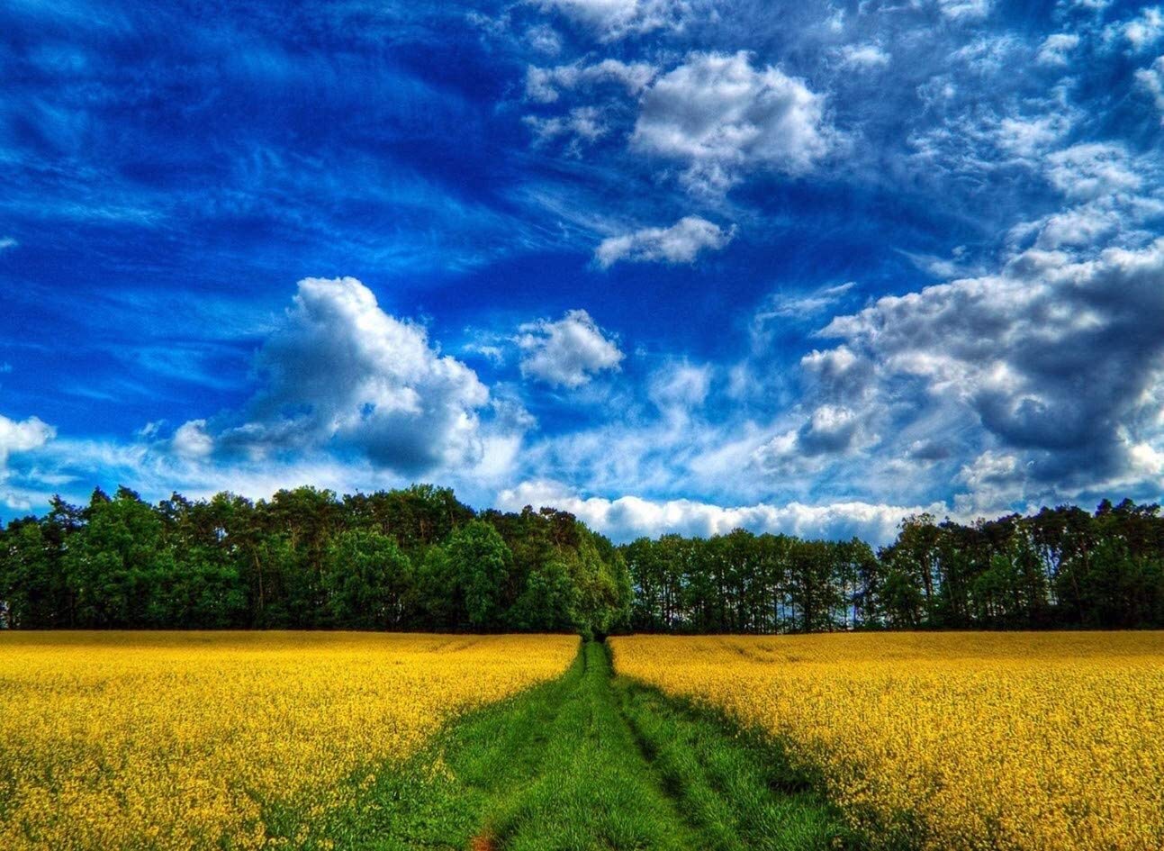 1000-Piece Blue Sky Highway Jigsaw Puzzle - Adult DIY Toy for Home Decor & Gifting