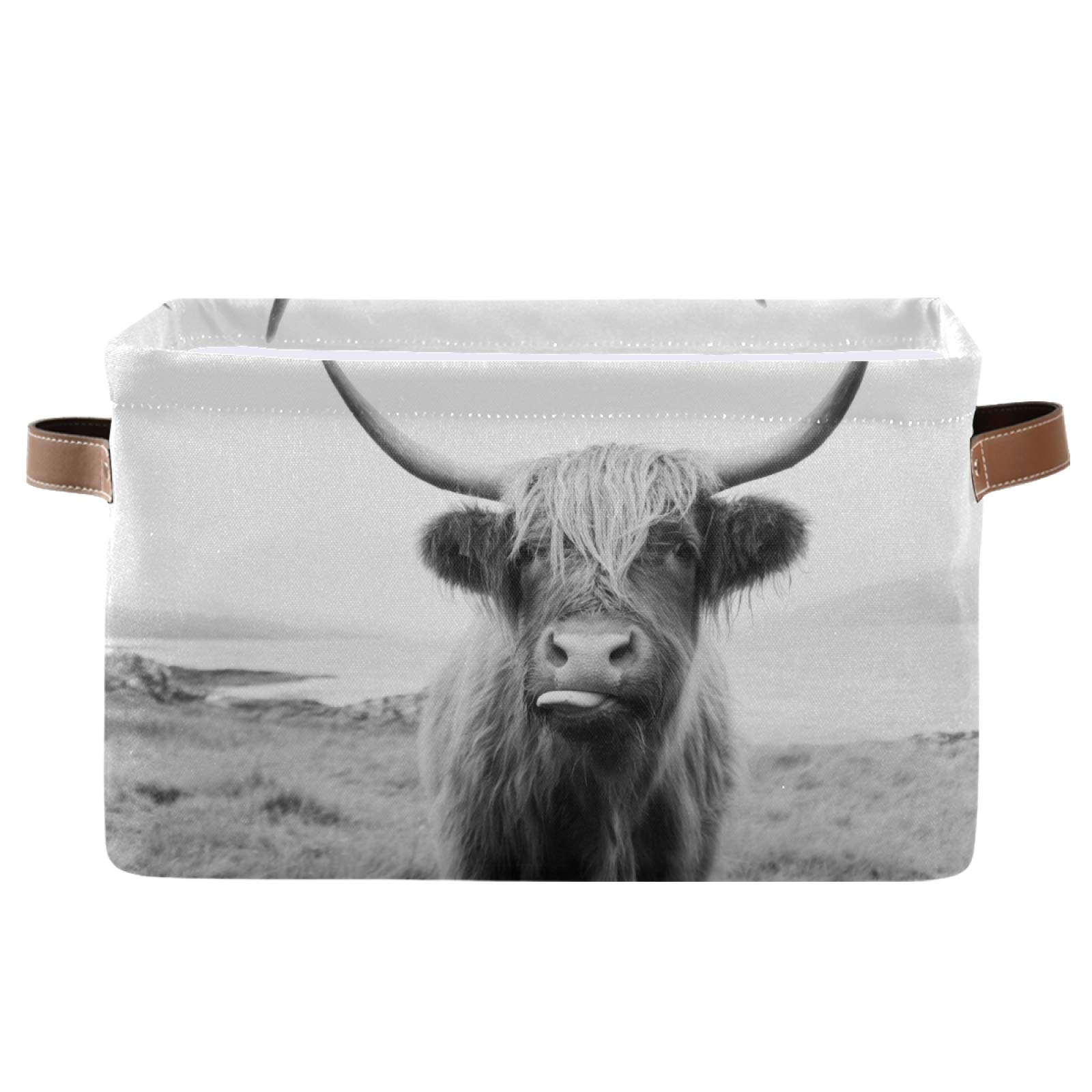 Highland Cow Storage Basket - Collapsible Fabric Storage Bin with Handles, Large Rectangular Organizer for Toys, Closet, Nursery, Bedroom & Home Office | Perfect for Kids' Room, Playroom & Home Organization