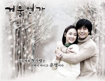 Winter Sonata Korean Drama DVD with English Subtitles - Starring Bae Yong Jun & Choi Ji Woo - Perfect for Romantic Evenings & K-Drama Fans