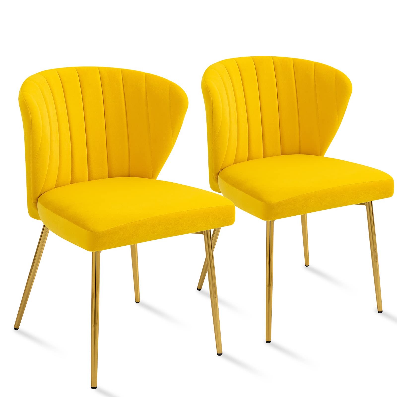 ANOUR Modern Velvet Dining Chairs Set of 2 - Upholstered Accent Chairs with Golden Metal Legs for Living Room, Kitchen, Dining Room & Patio - Comfortable Seating for Home Decor & Entertaining (Yellow, 2 Pack)