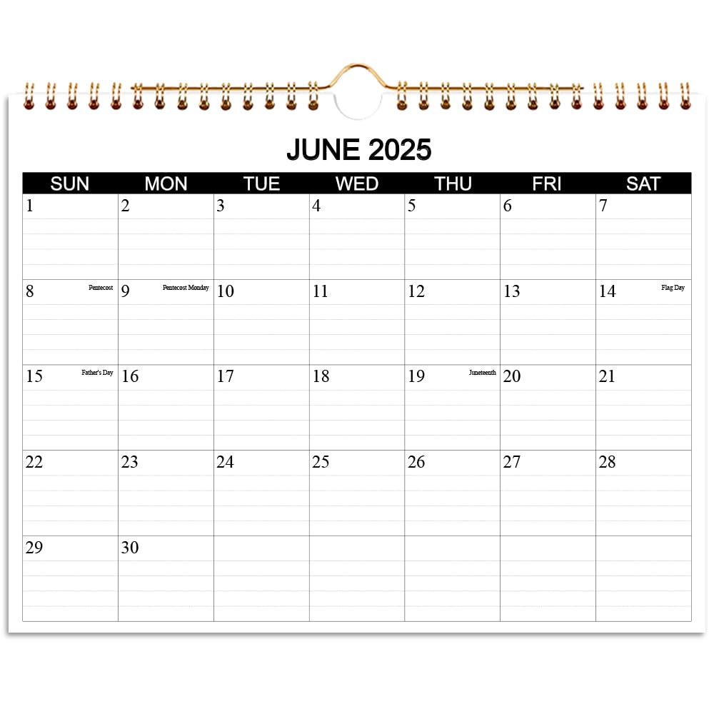 2025-2026 Wall Calendar | 19-Month Planner from June 2025 to December 2026 | Thick Paper 8.5