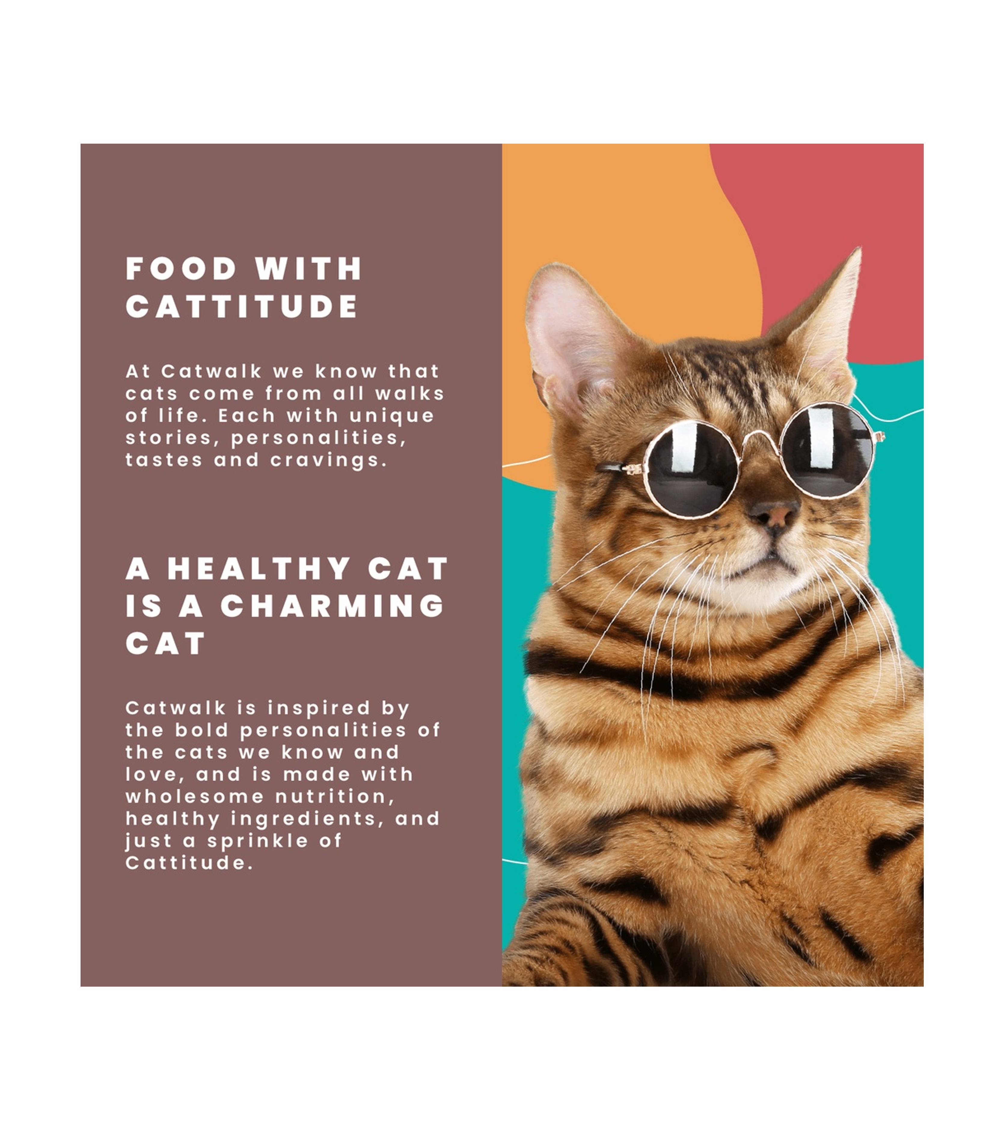 Premium Catwalk Skipjack Tuna Entrée in Aspic - Grain-Free Wet Cat Food (80g) - Delicious & Nutritious Meal for Adult Cats - Perfect for Special Occasions & Picky Eaters