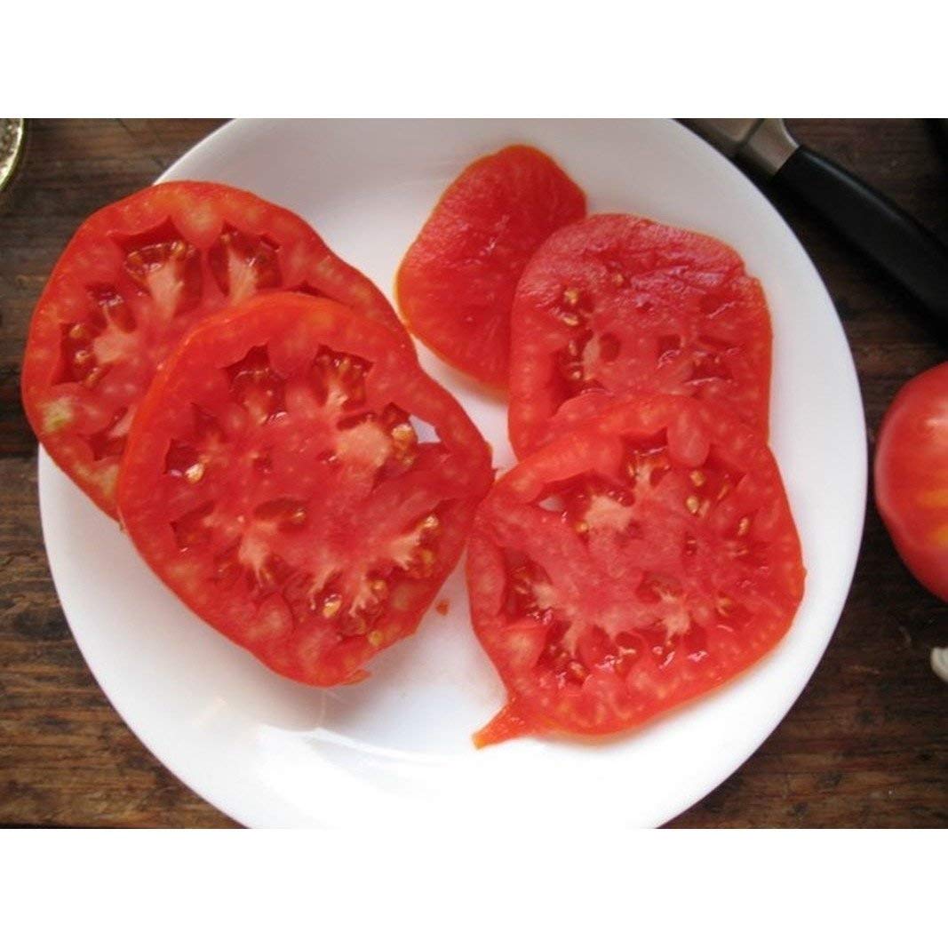 Heirloom Box Car Willie Tomato Seeds - Non-GMO, Old Fashioned Tomato Flavor (10 Seeds) for Home Garden, Canning & Fresh Salads