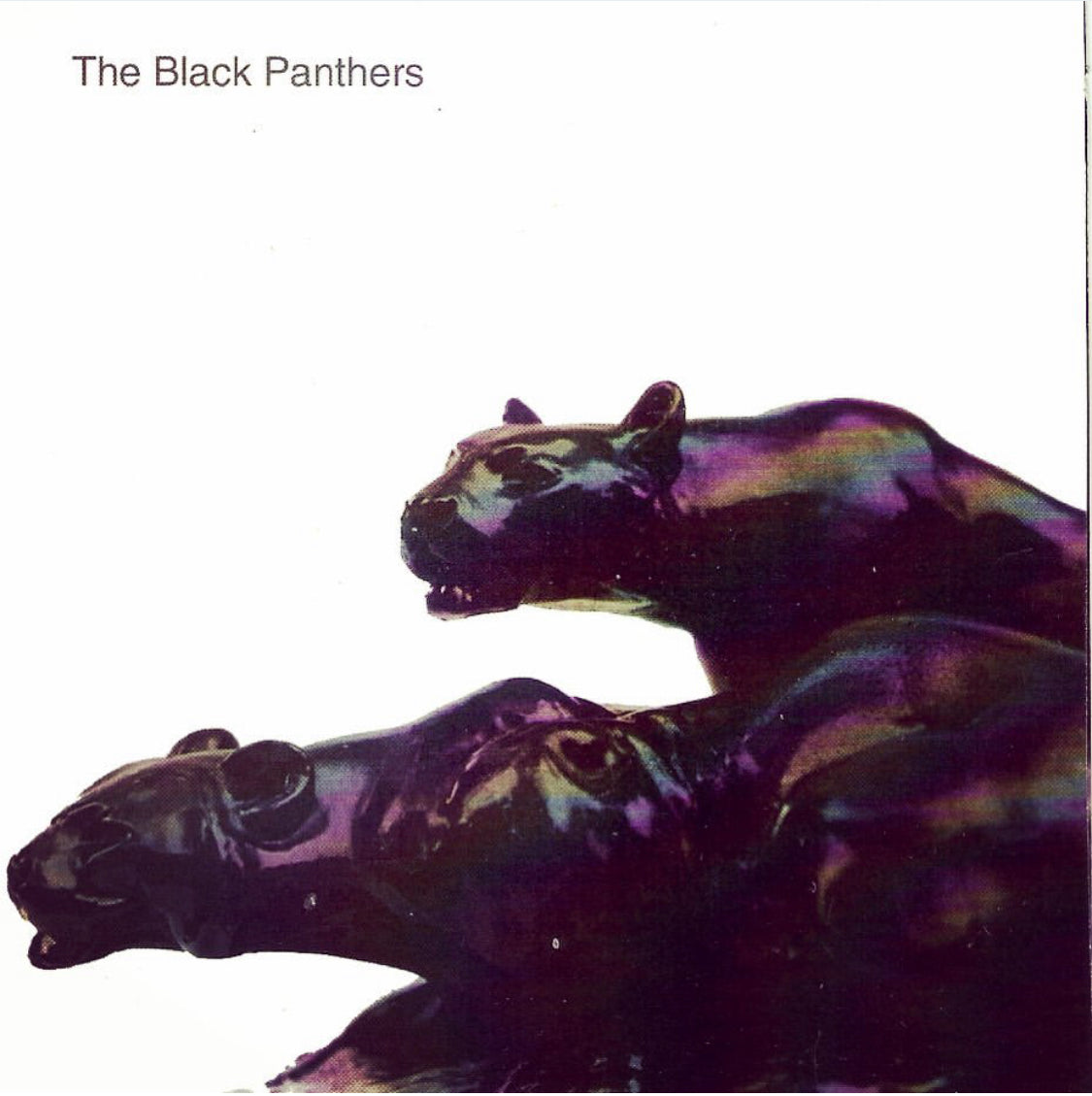 Black Panthers T-Shirt - Vintage Band Tee for Men & Women - Perfect for Concerts, Casual Wear & Gifting