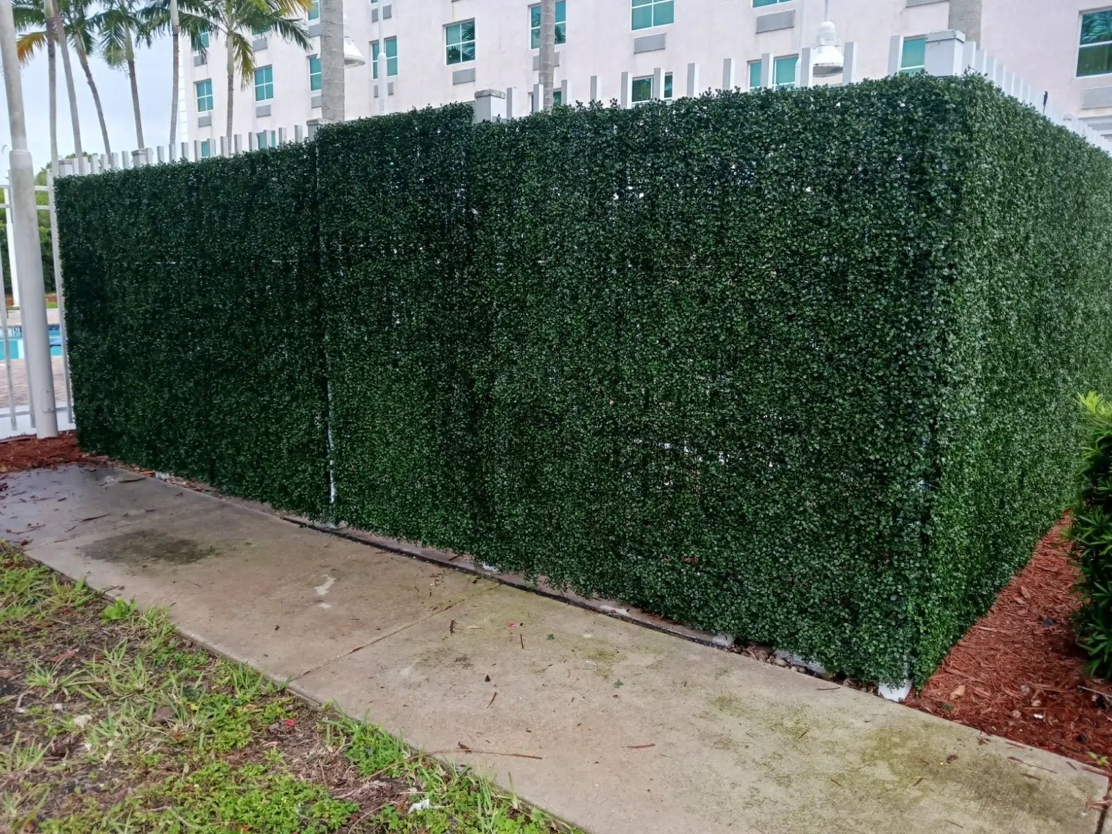 English Boxwood Artificial Hedge Panel 1m x 1m - UV Resistant Green Wall for Outdoor Privacy & Garden Decor