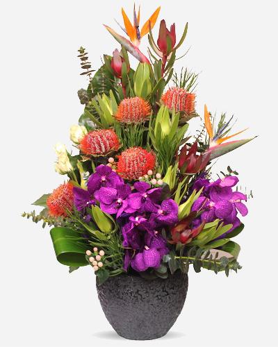 Tropical Paradise - Exotic Home Decor & Gifts for Beach & Vacation Themed Rooms | Perfect for Coastal Living, Boho Style, and Summer Vibes