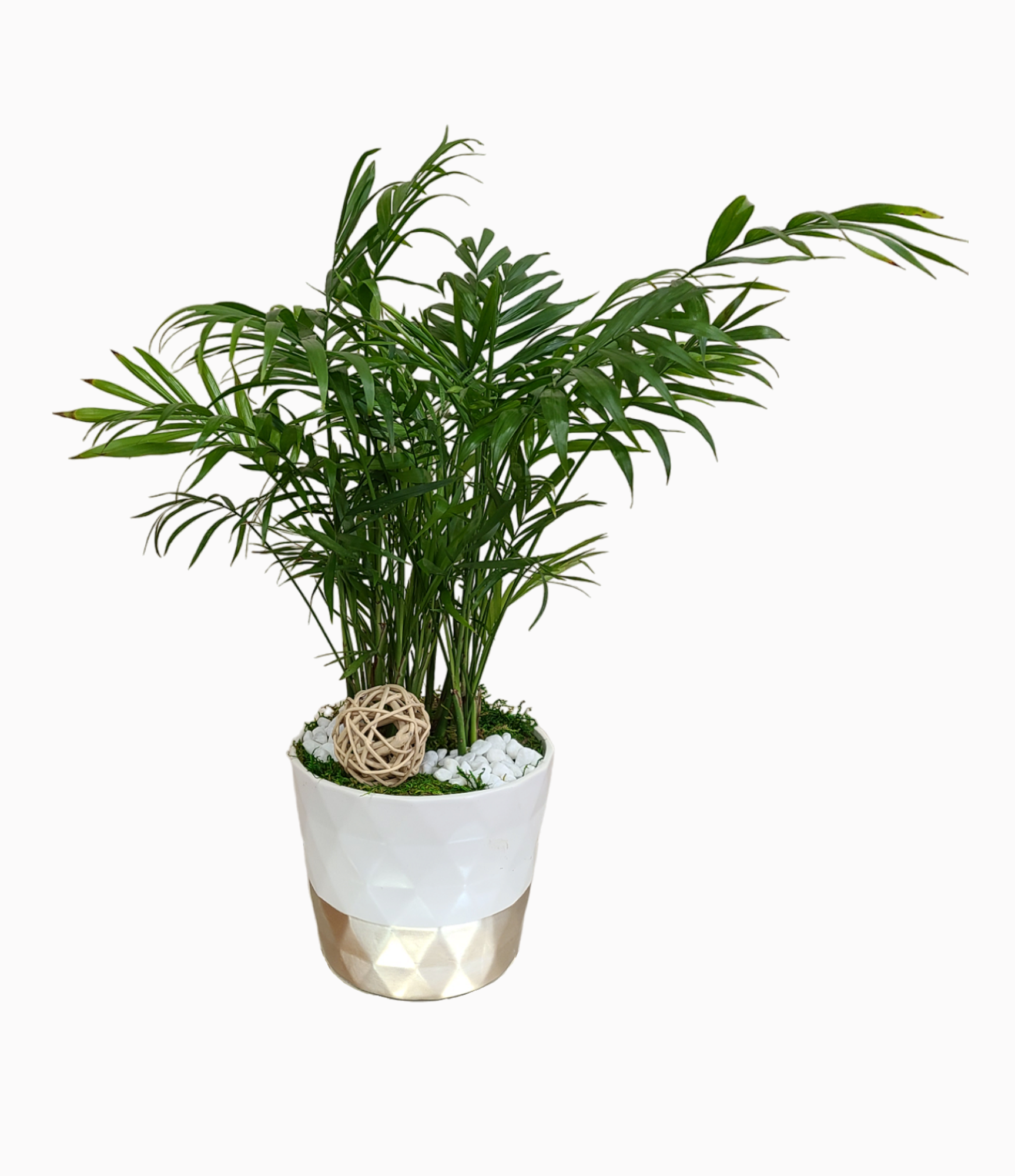 Mini Palm Tree Artificial Plant - Small Fake Tropical Palm for Home Decor, Office Desk, Party & Wedding Centerpiece