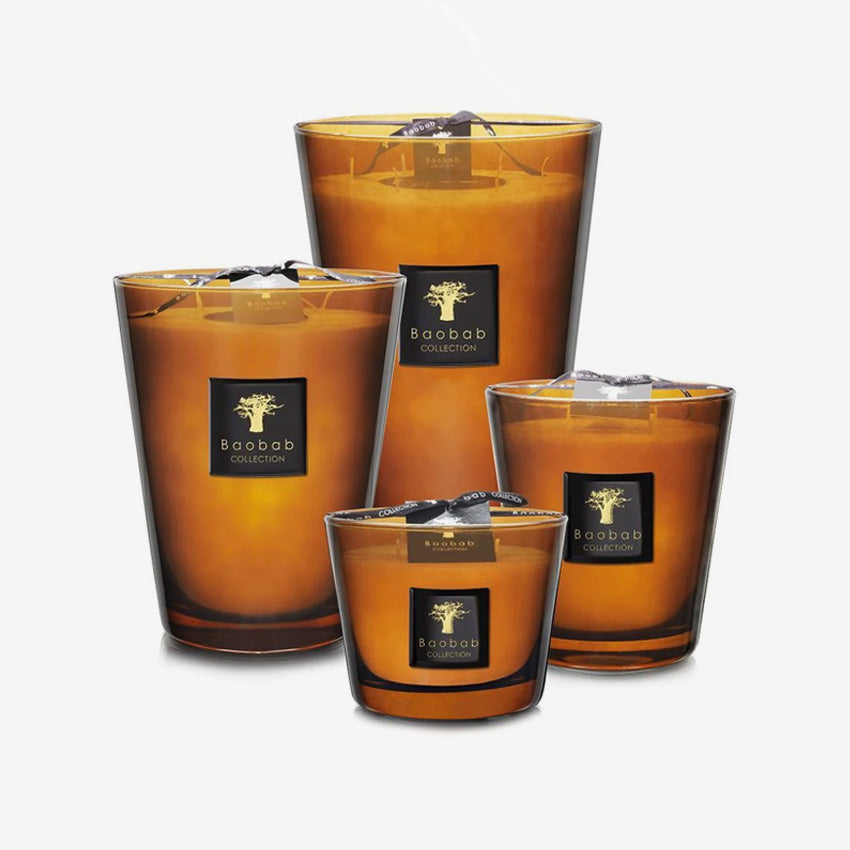 Baobab Collection Les Prestigieuses Cuir de Russie Scented Candle - Luxury Leather Scented Soy Wax Candle for Home Decor, Romantic Gifts & Relaxation