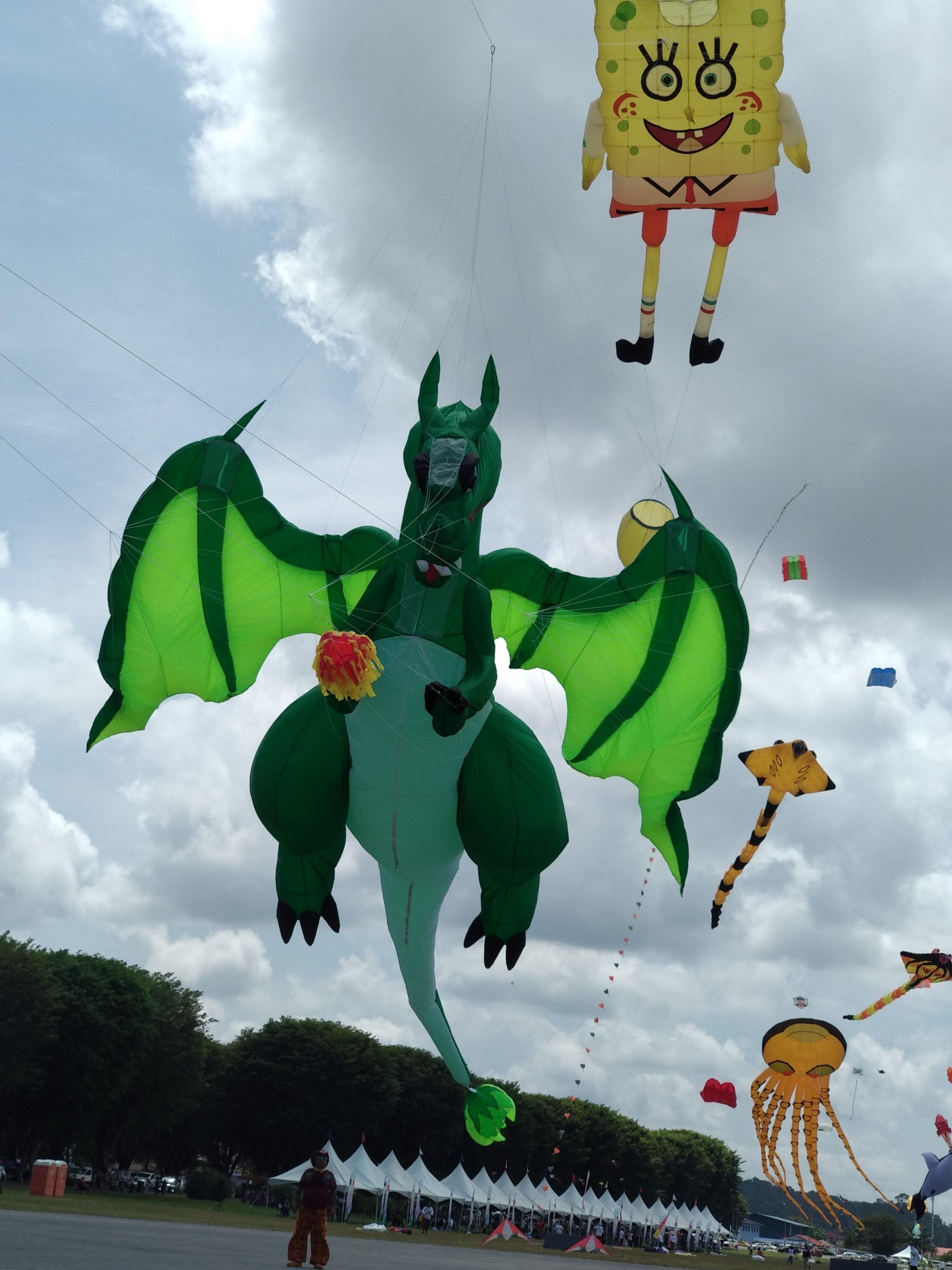 10m Fantasy Dragon Inflatable Clothesline - Outdoor Indoor Drying Rack for Laundry, Beach, Pool Party, and Backyard Decor