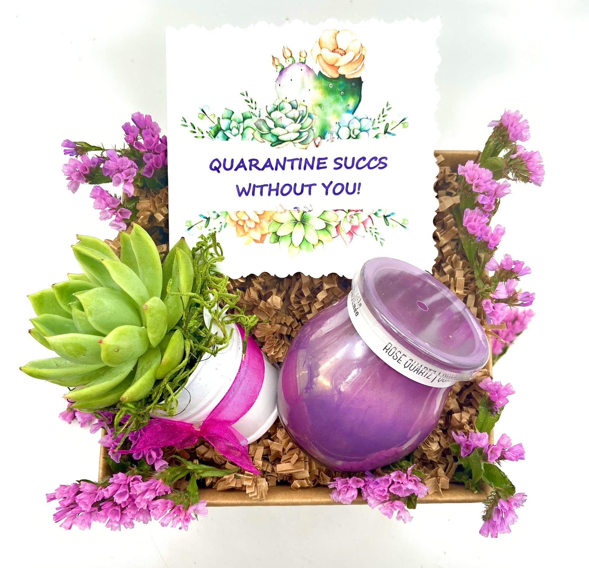 Succulent & Assorted Scented Candle Gift Box Set - Perfect for Self-Care, Home Decor, and Thoughtful Quarantine Gifts