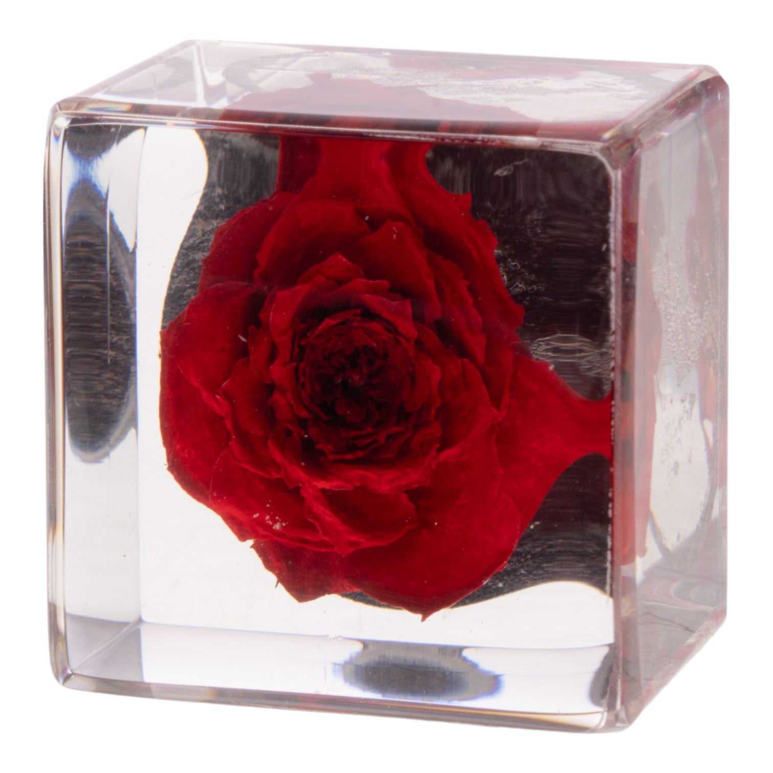 Real Red Rose Preserved in Acrylic Cube Magnet - Perfect for Refrigerator Decor, Office Gifts & Romantic Keepsakes