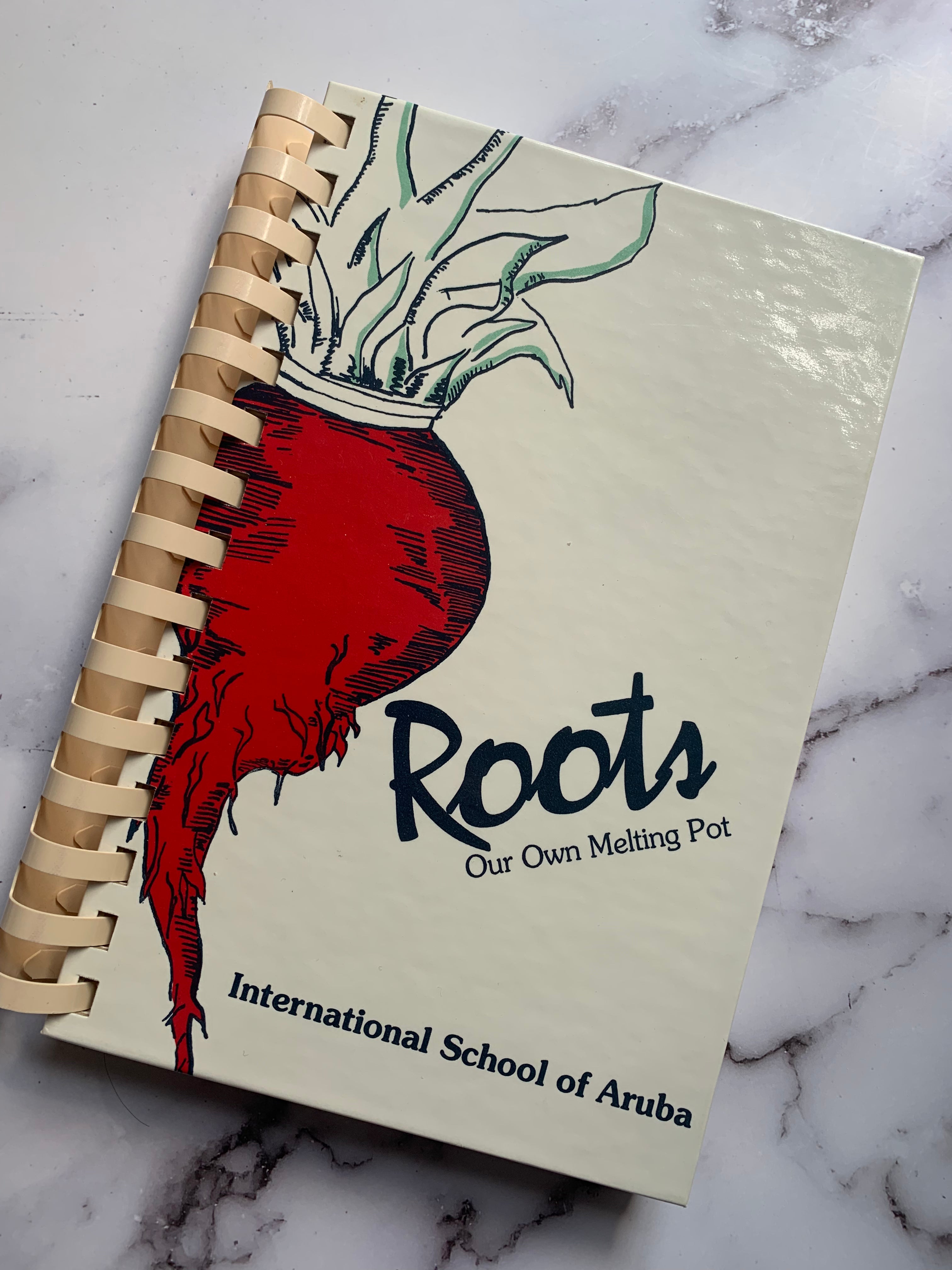 Roots: Our Own Melting Pot - Cultural Diversity Book for American Readers | Perfect for History Lovers & Multicultural Studies