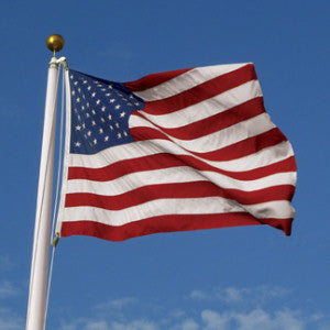 10' x 19' American Flag - Heavy Duty Polyester US Flag with Embroidered Stars & Sewn Stripes - Perfect for Outdoor Display, Parades, and Patriotic Events