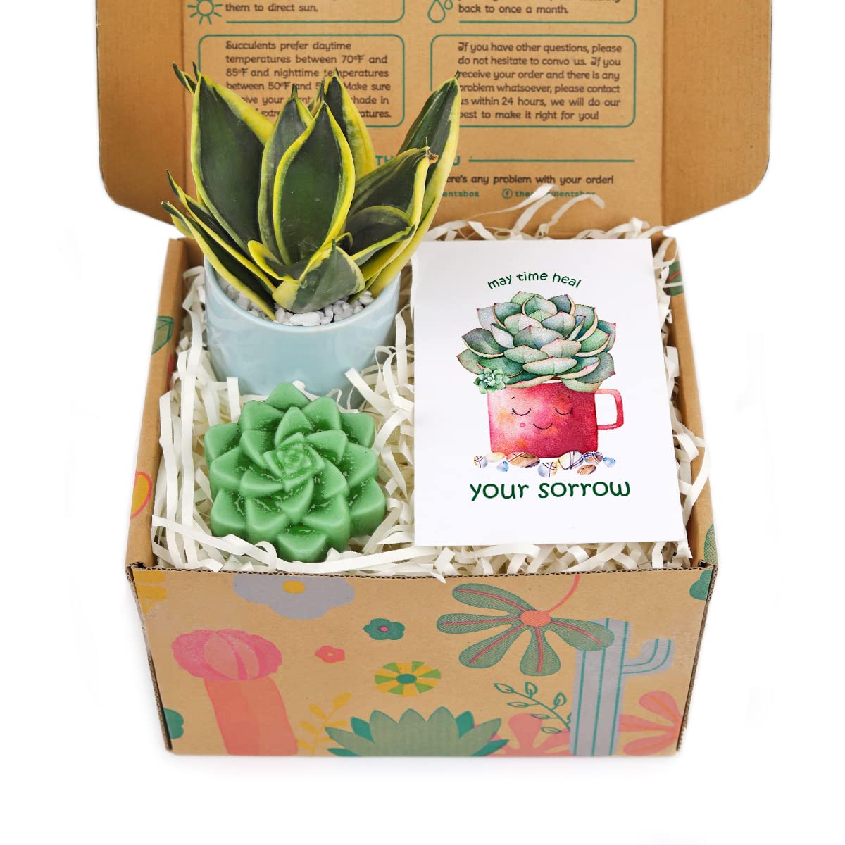 Healing Gift Box Set - 1 Houseplant & 1 Rosette Succulent Soap with 'May Time Heal Your Sorrow' Card - Perfect Plant Lover's Surprise Box for Sympathy, Get Well, or Self-Care Gifts