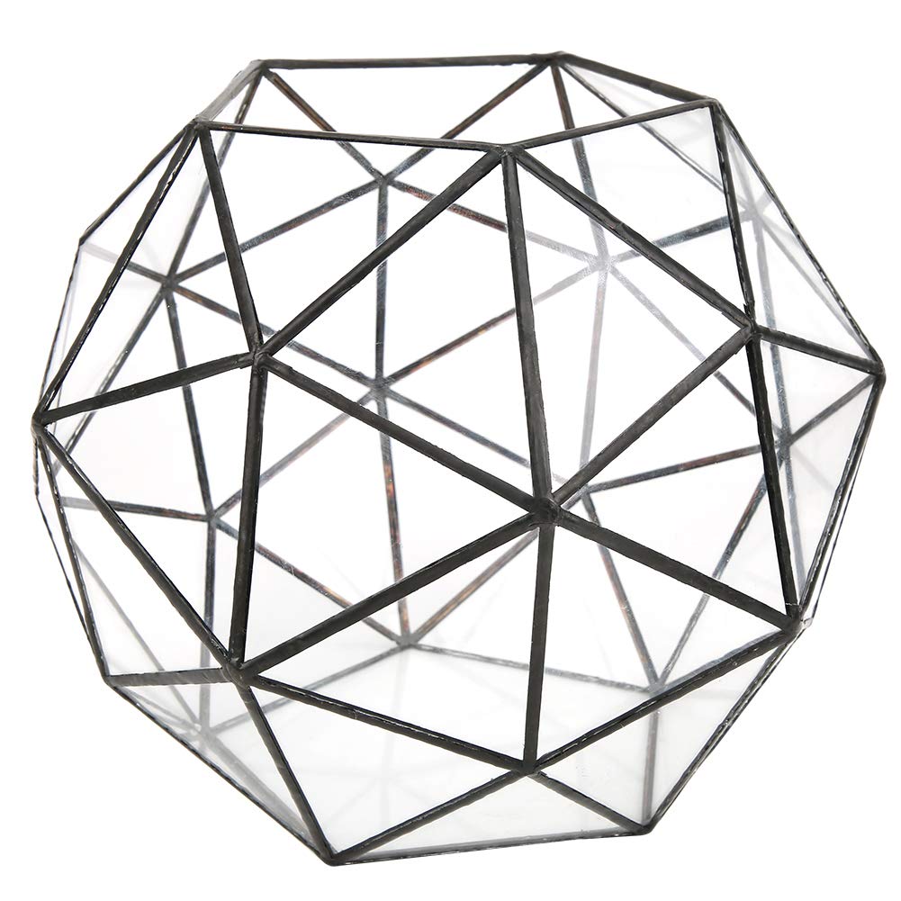 Emoshayoga Geometric Glass Terrarium - Clear Tabletop Planter for Succulents, Ferns, Moss & Air Plants | Miniature Outdoor/Indoor Decor for Home, Office & Wedding Centerpieces