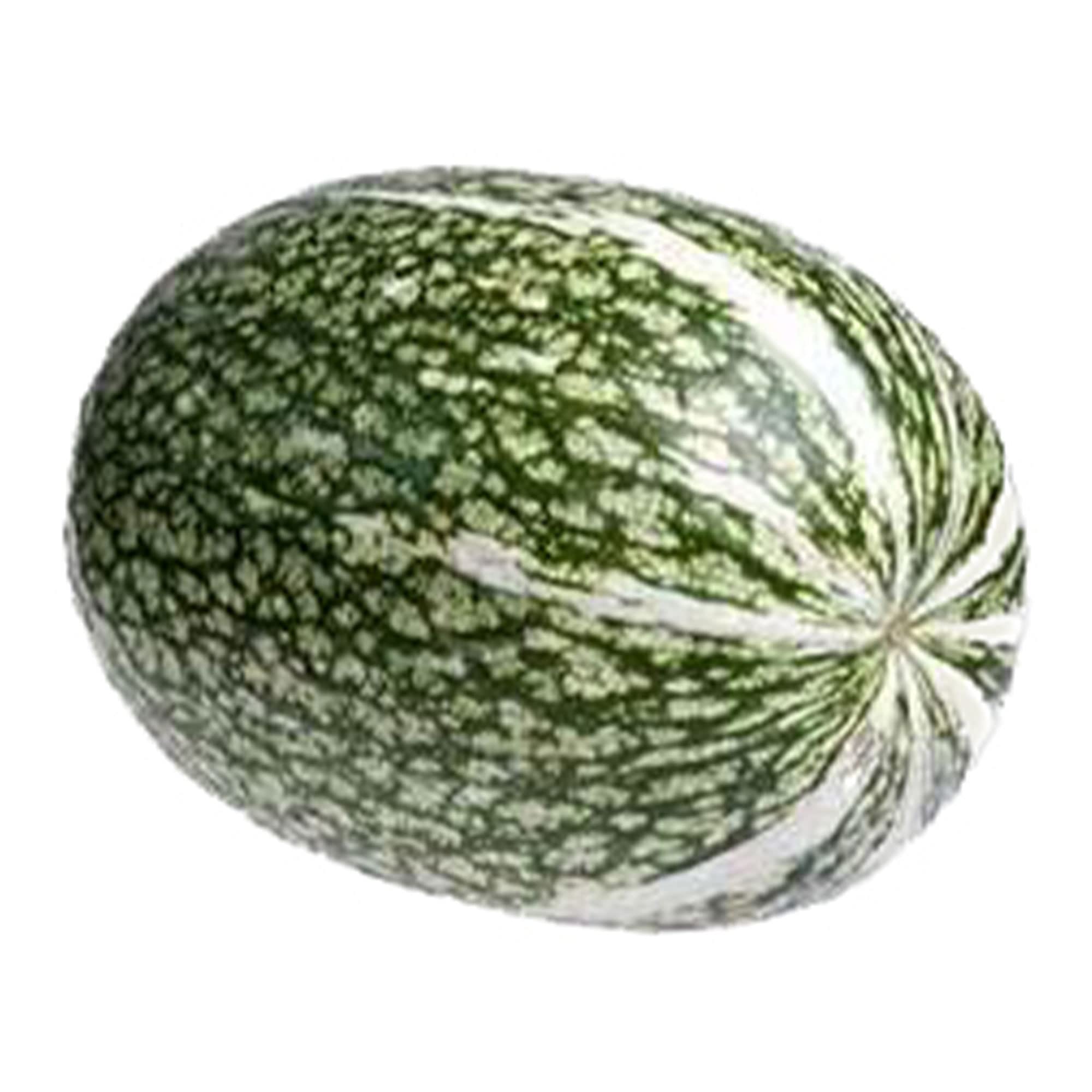 Organic Winter Shark Fin Squash Gom Bo Seeds - Non-GMO Heirloom Asian Vegetable - 1 Lb (~2000 Seeds) for Home Gardening, Soup Making & Asian Cuisine