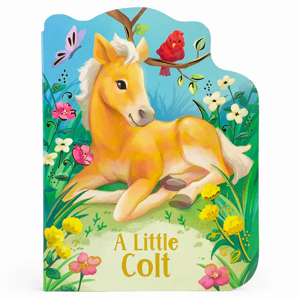 Little Colt Baby Clothes - Soft & Comfortable Outfits for Newborns & Toddlers | Perfect for Everyday Wear, Playtime & Photo Shoots