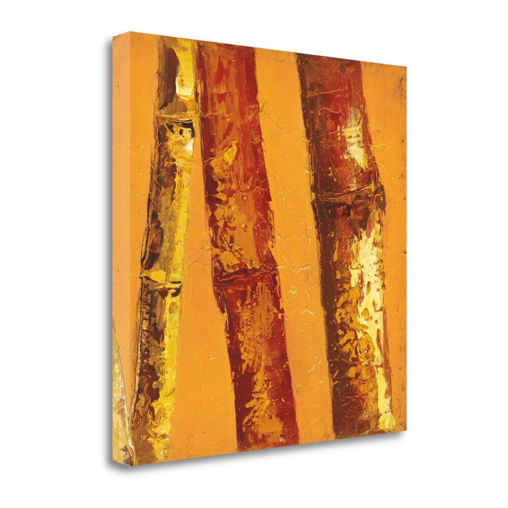 Bamboo Columbia II by Tita Quintero - Premium Giclee Art Print on Gallery Wrapped Canvas - Handmade Wall Decor - Ready to Hang - Perfect for Living Room, Bedroom & Office Decor