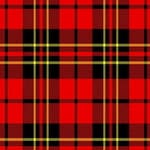 Brodie Tartan Plaid Scarf - Classic Scottish Wool Wrap for Men & Women - Perfect for Winter, Fall, and Outdoor Activities