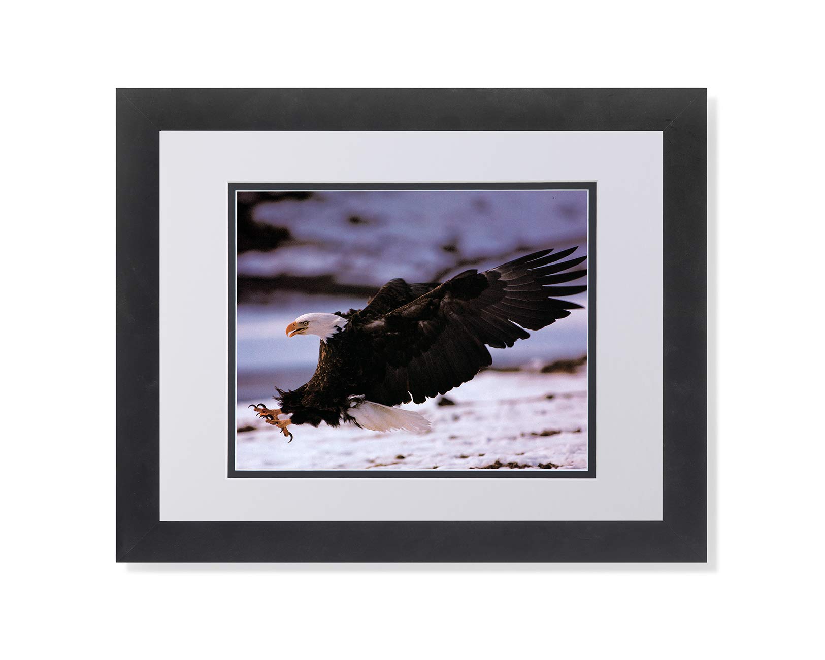 American Bald Eagle Wall Art - Majestic Wings & Claws in Snow - Framed & Matted Print for Home & Office Decor - Perfect for Living Room, Bedroom, or Office Wall Display